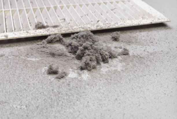 Best Affordable Duct Cleaning Services  in Shenandoah Heights, PA