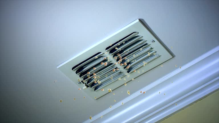Best Best Air Duct Cleaning Company  in Shenandoah Heights, PA