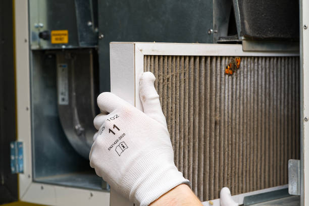 Air Duct Mold Removal in Shenandoah Heights, PA