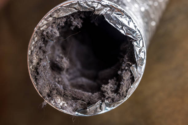 Best HVAC System Cleaning  in Shenandoah Heights, PA
